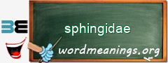 WordMeaning blackboard for sphingidae